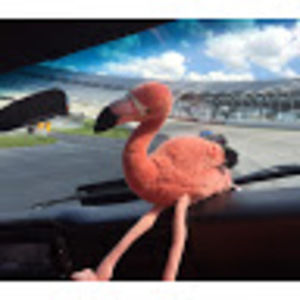 Meet your Posher, Leah anne